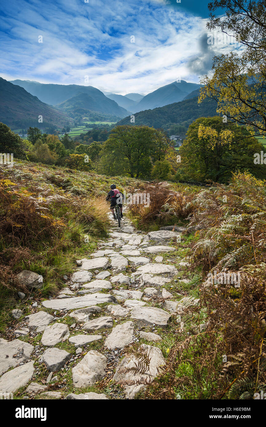 Mountainbiker discendente nel Rosthwaite, Borrowdale, Cumbria, Regno Unito. Foto Stock