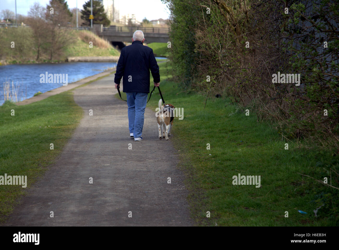 Canale di Forth e Clyde percorso vicino a Glasgow proprietario con il cane a camminare Foto Stock