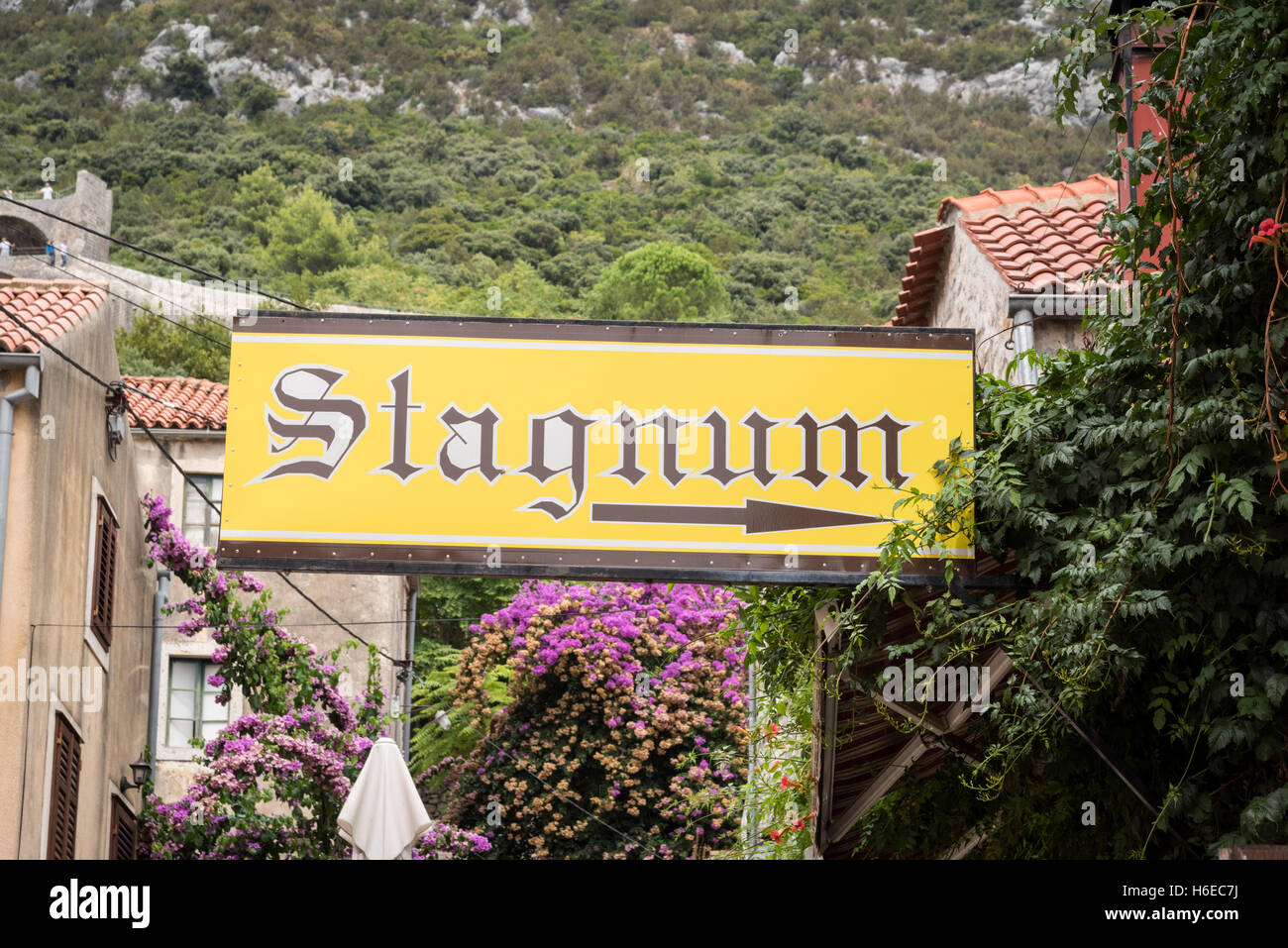 Il ristorante di pesce e frutti di mare in Stagnum Ston Croazia che mostra i tavoli fuori e la vite entrata coperta Foto Stock