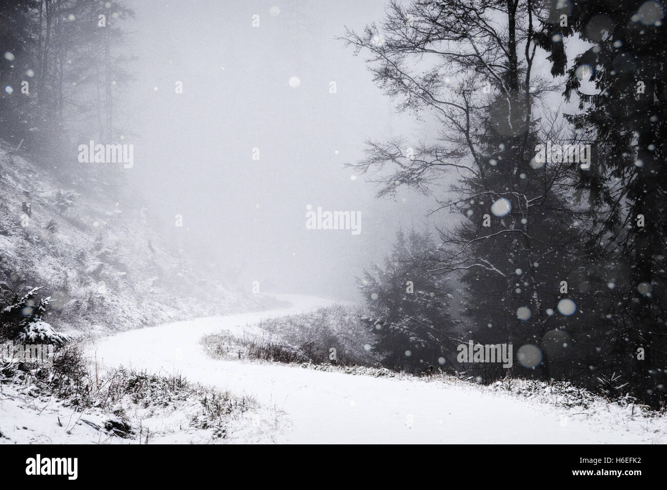 La neve cade su una piccola strada di montagna attraverso la foresta. Foto Stock