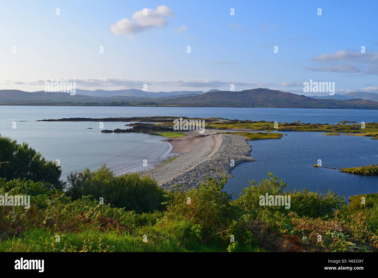 Ardea West, Tuosist Foto Stock