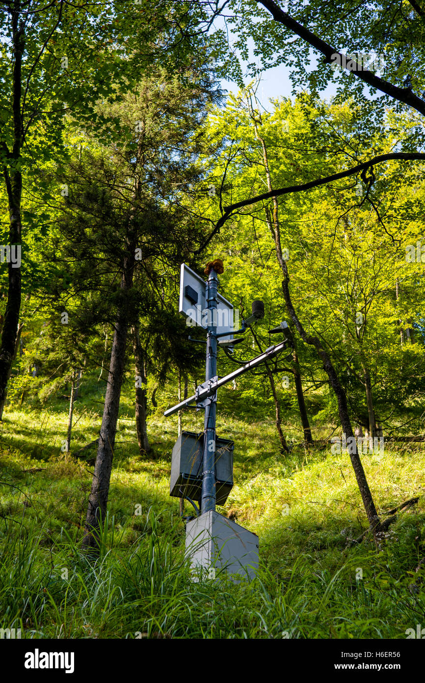 La qualità dell'aria stazione di misurazione in foresta Foto Stock