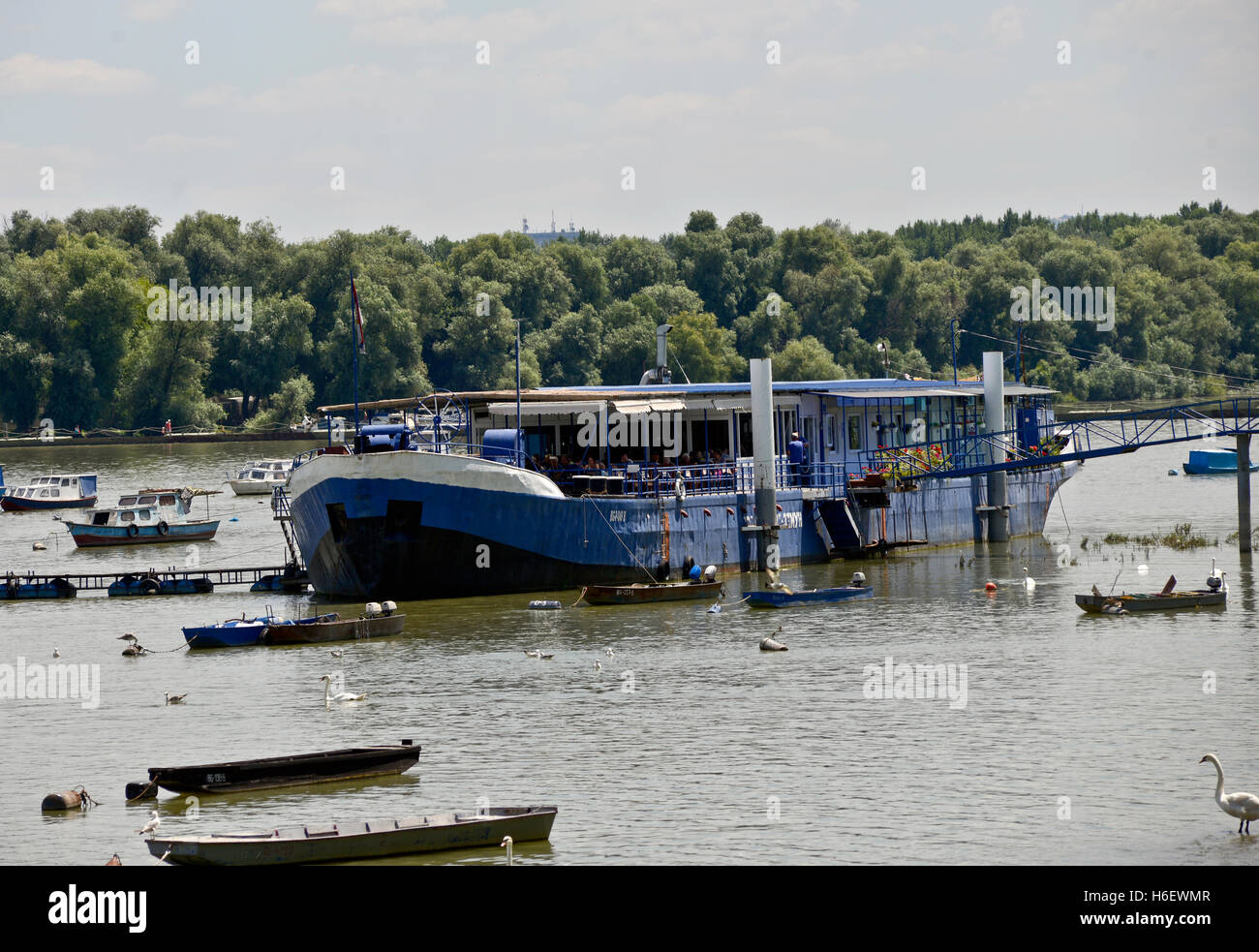 Navi e barche nel fiume Sava, Belgrado, Serbia Foto Stock