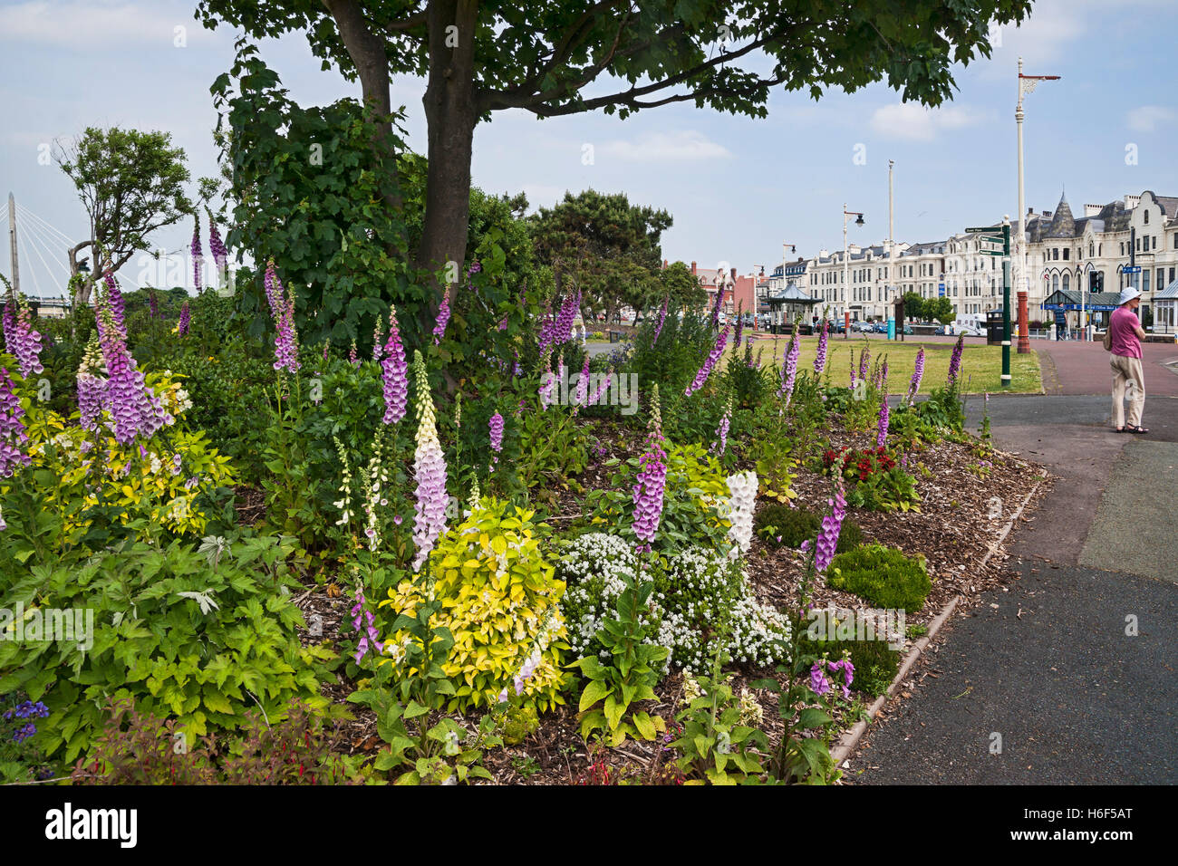 Southport Lungomare Giardini, parade, Lancashire, Inghilterra; Regno Unito Foto Stock