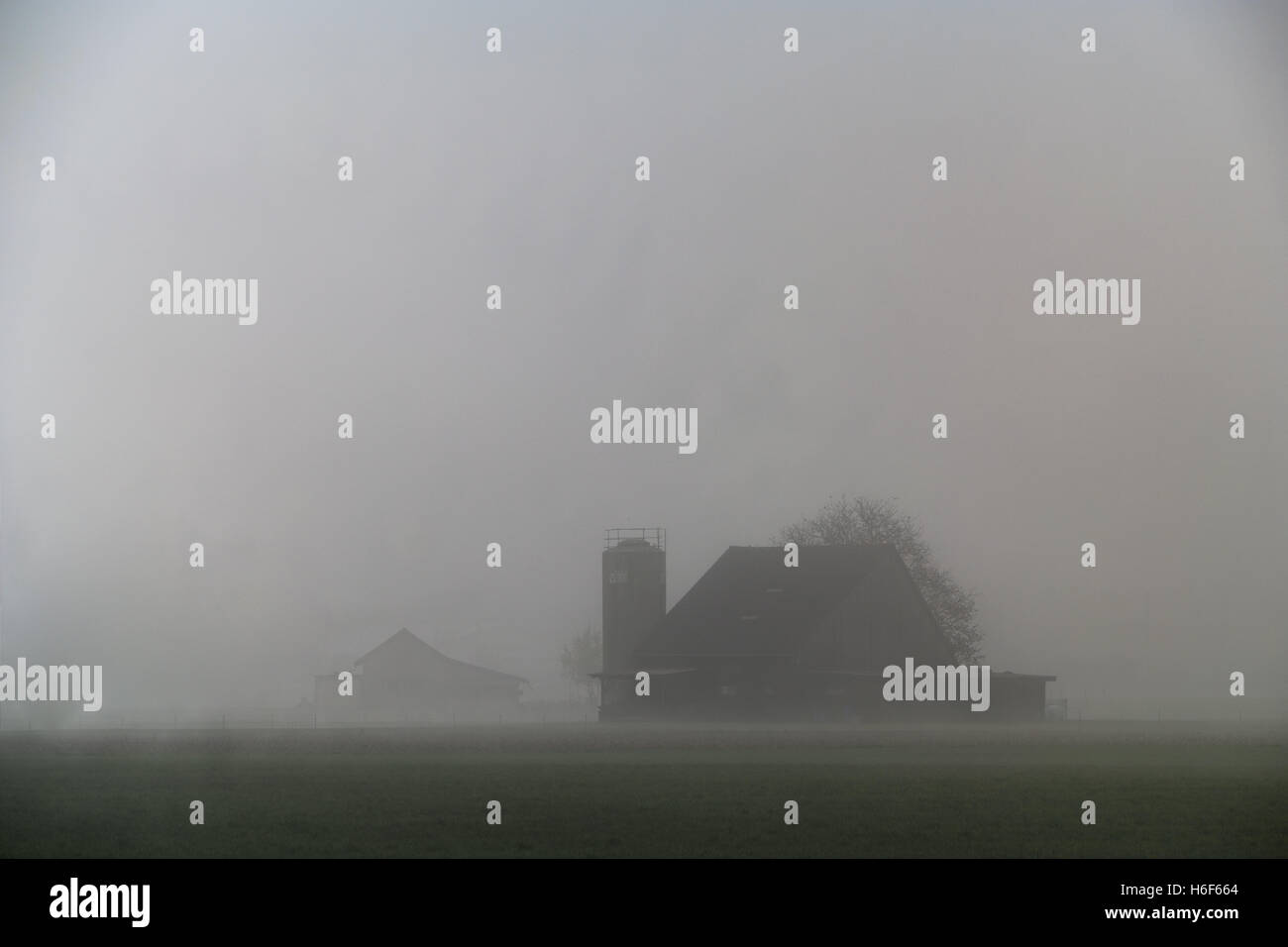 Un fienile svizzero nella fitta nebbia Foto Stock
