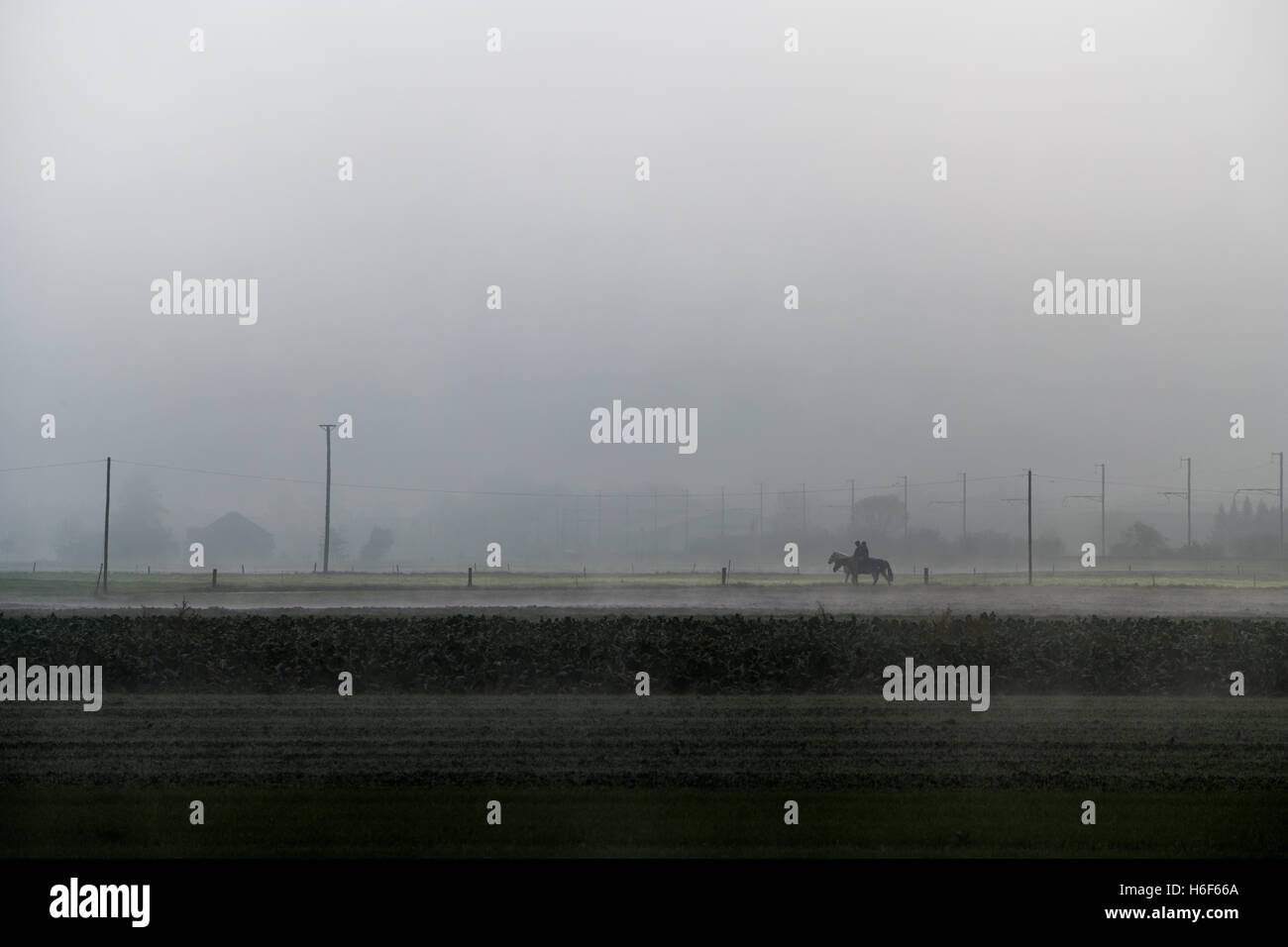 Un solitario cavaliere a cavallo nella fitta nebbia Foto Stock