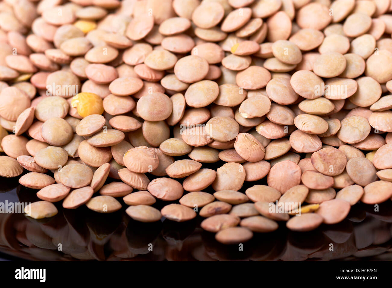Lenticchie. Semi essiccati di lenticchie. Foto Stock