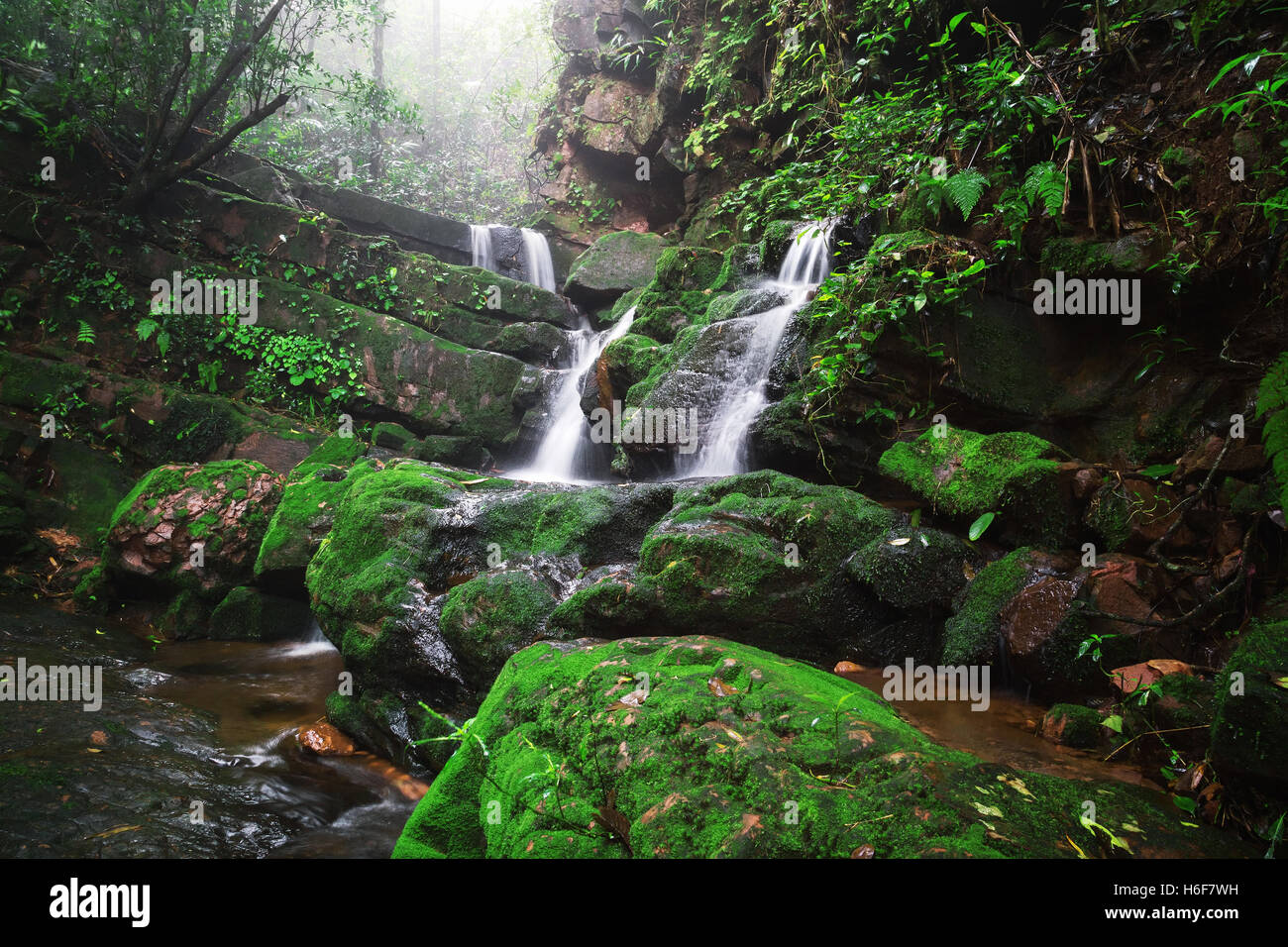 Cascata Saithip a Phu Soi Dao National Park, Thailandia. Un piccolo waterfal con lo splendido paesaggio di rocce e lussureggiante e forest line Foto Stock