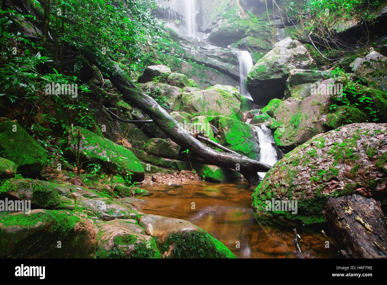 Cascata Saithip a Phu Soi Dao National Park, Thailandia. Un piccolo waterfal con lo splendido paesaggio di rocce e lussureggiante e forest line Foto Stock