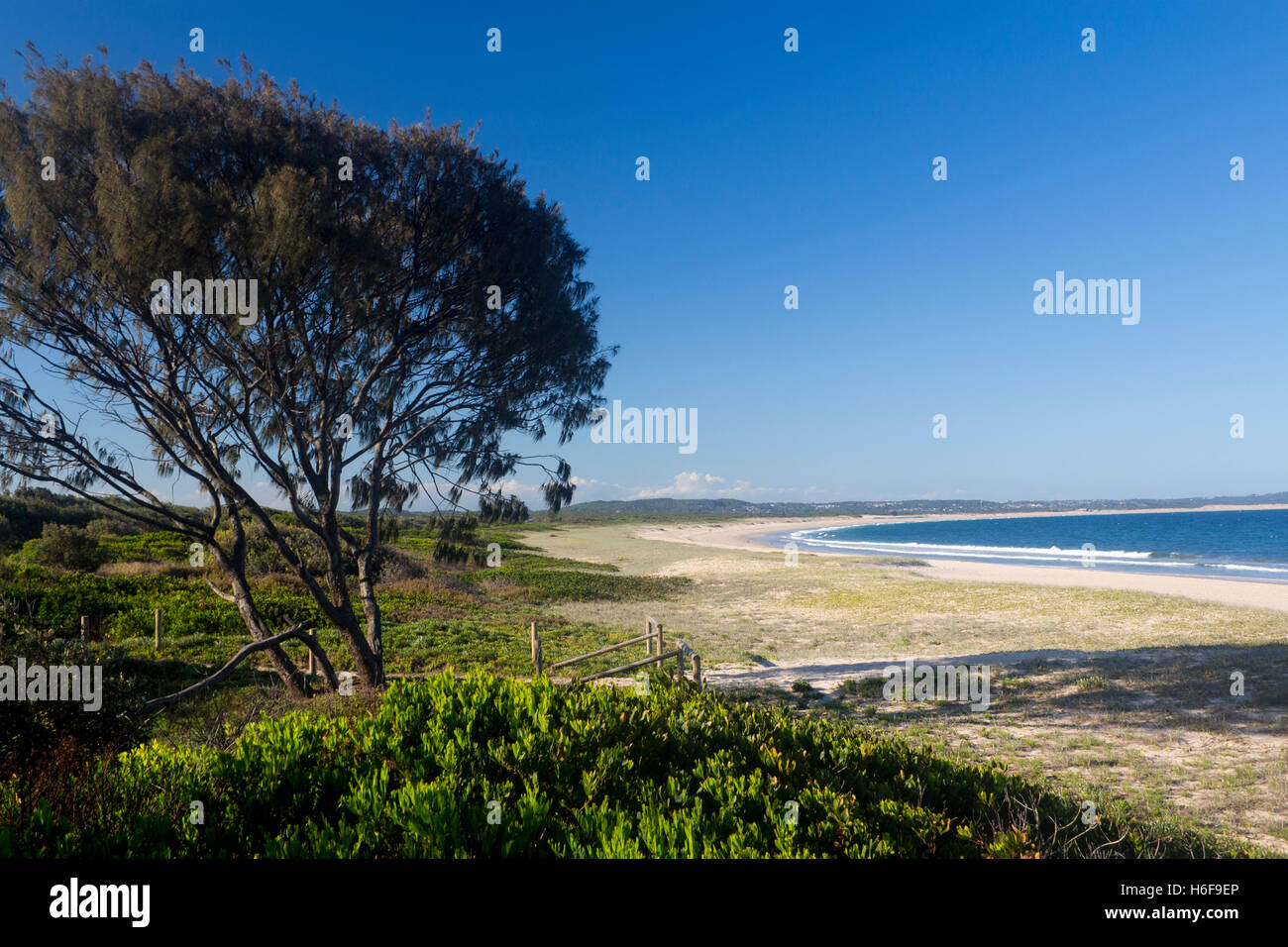 Fabbri spiaggia lago Macquarie NSW Australia Foto Stock