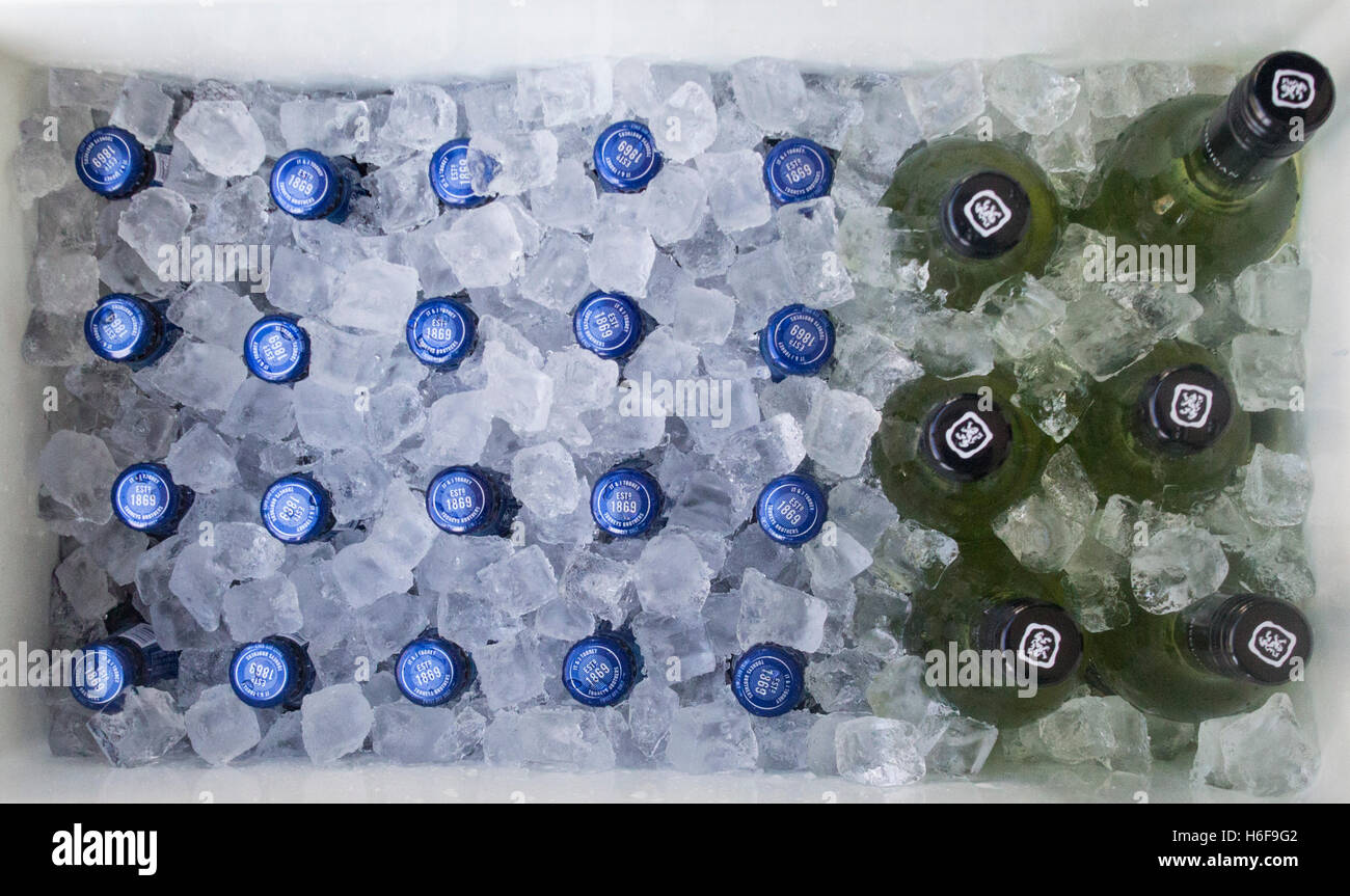 Esky refrigeratore con ghiaccio, bottiglie di birra e di vino Bottiglie per party NSW Australia Foto Stock