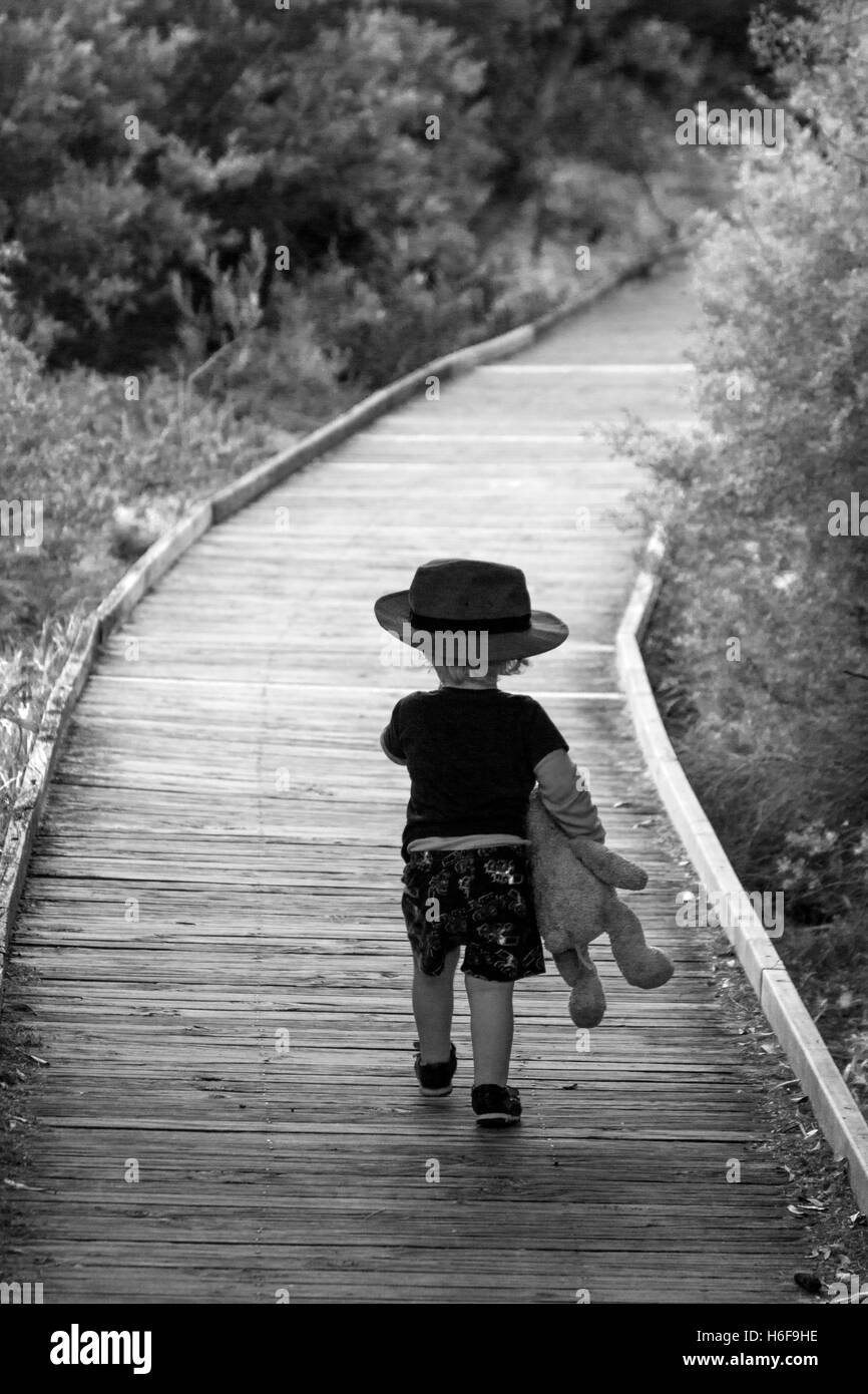 Due anni di vecchio ragazzo indossa hat portando orsacchiotto camminando sul Boardwalk attraverso le dune di sabbia con alberi su entrambi i lati del NSW Australia Foto Stock