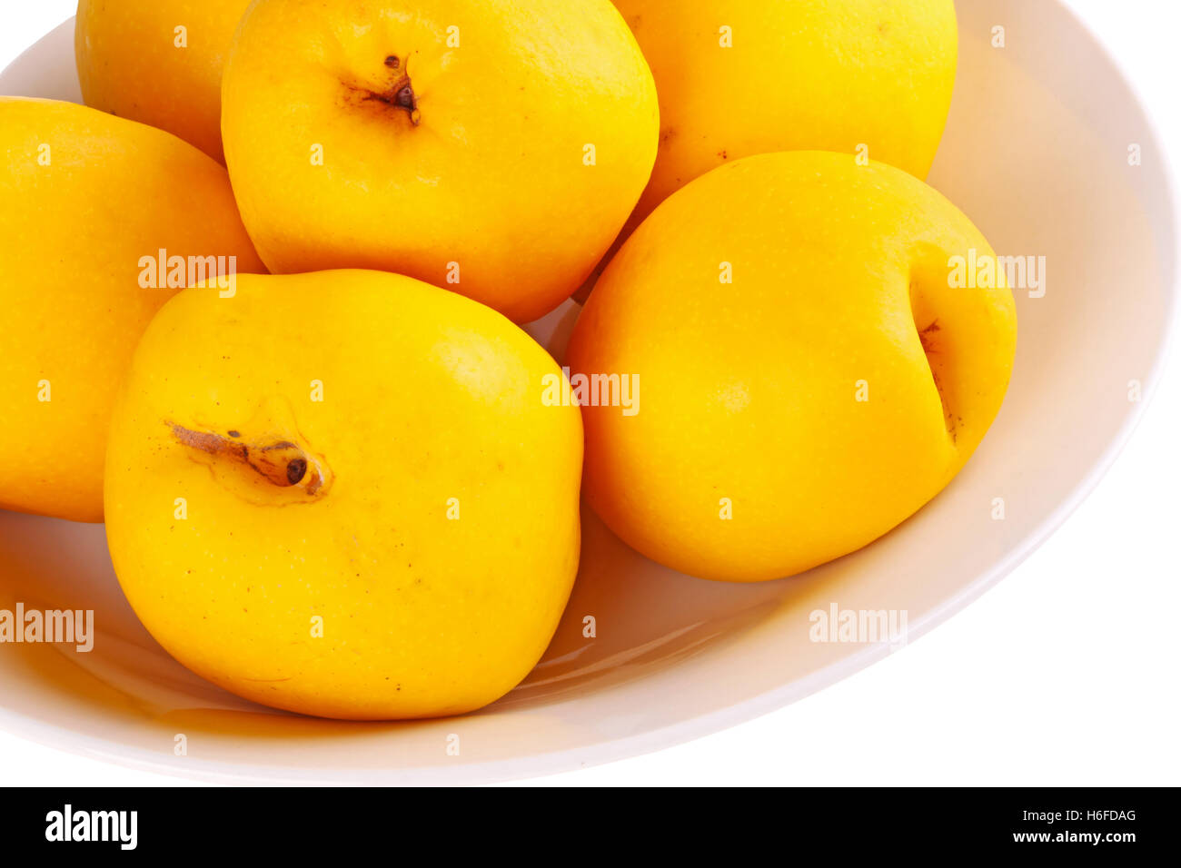 Close-up di una ciotola di giallo, frutto maturo della fioritura o giapponese mela cotogna (Chaenomeles ibridi) isolati contro un bianco indietro Foto Stock