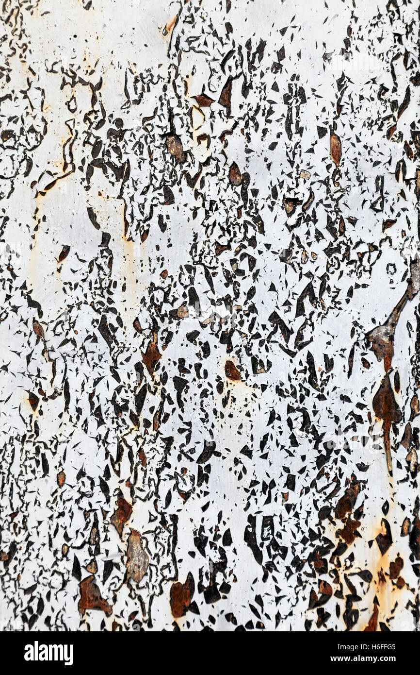 Ruggine di una superficie metallica con peeling vecchia vernice bianca. Foto Stock