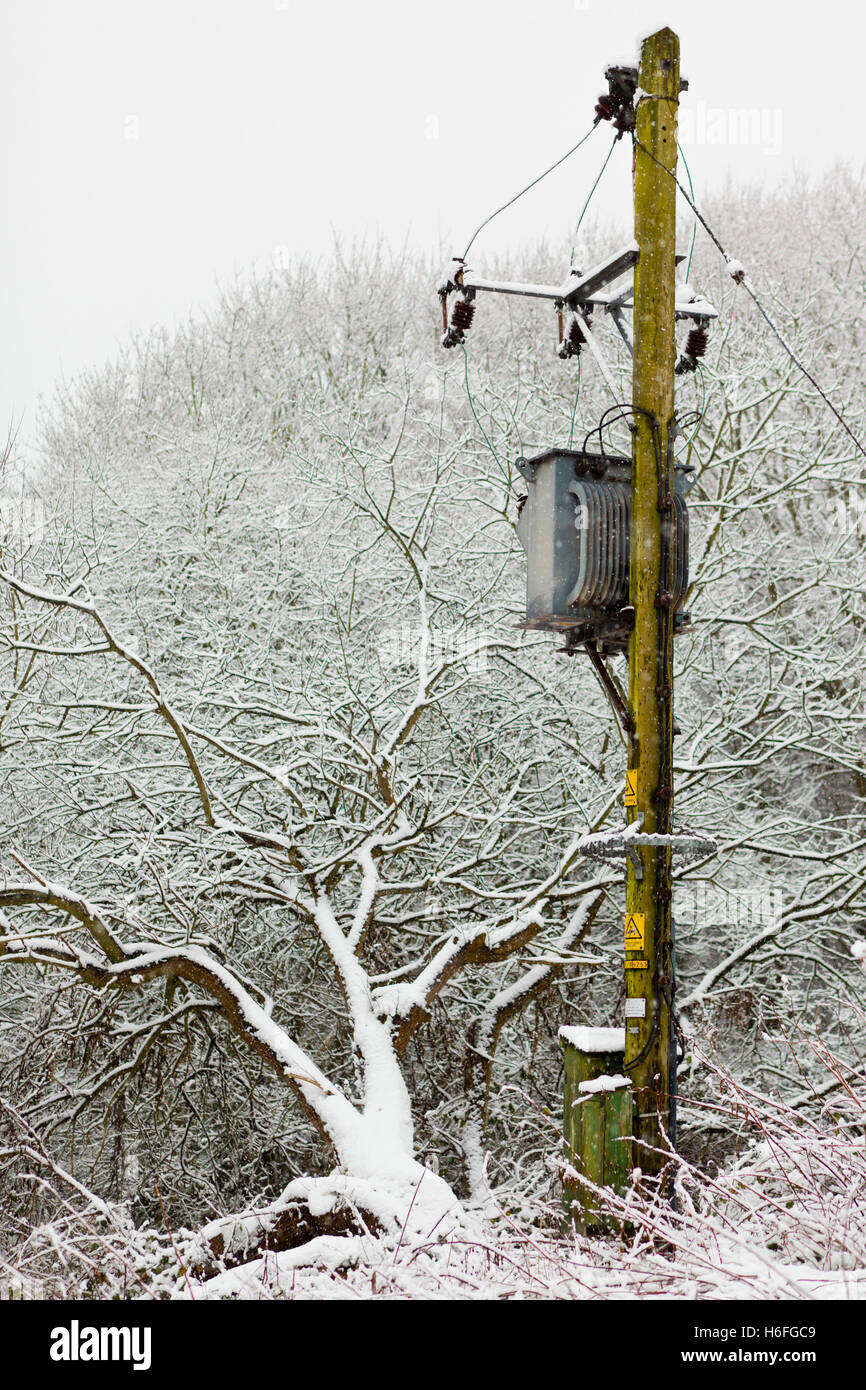 Coperta di neve alberi circondano un trasformatore di energia elettrica su un palo Foto Stock