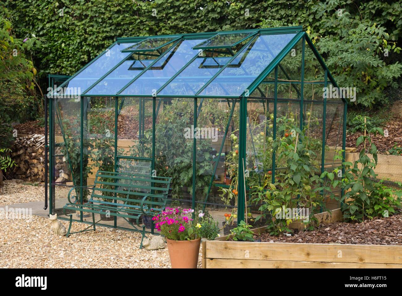 Un metallo verde serra, tetto ventilato finestre, porte scorrevoli e giardino sedile, la coltivazione di pomodori e crisantemi Foto Stock
