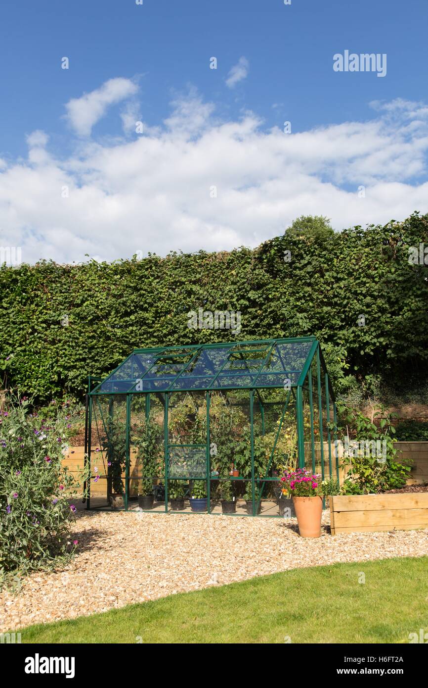 Un metallo verde serra, tetto ventilato finestre, porte scorrevoli e giardino sedile, la coltivazione di pomodori e crisantemi Foto Stock