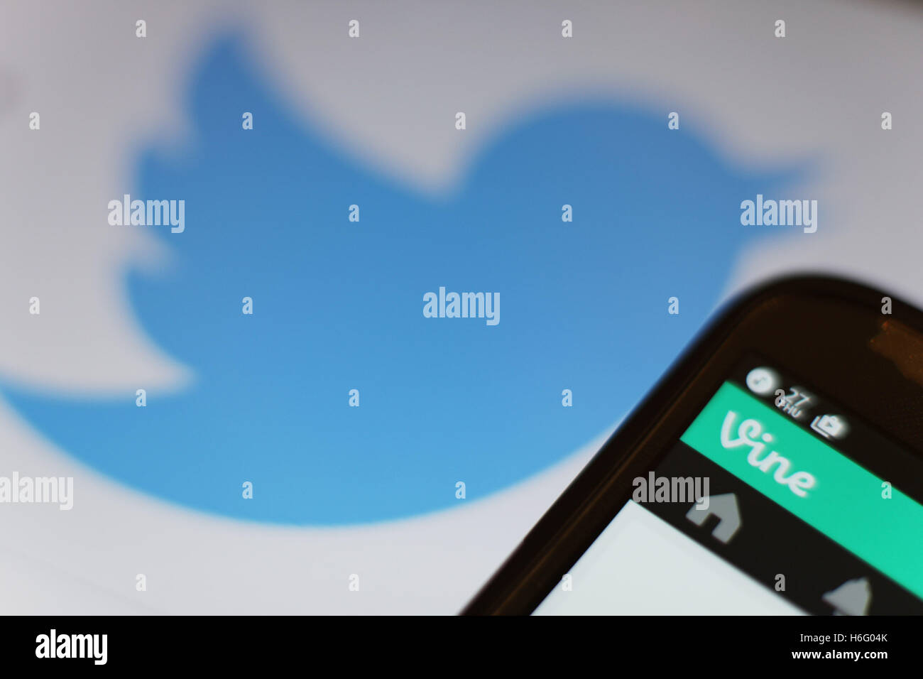 Vista generale della vigna, i sei secondi app video di proprietà di Twitter su uno smartphone, come Twitter ha annunciato che il servizio sarà interrotto. Foto Stock