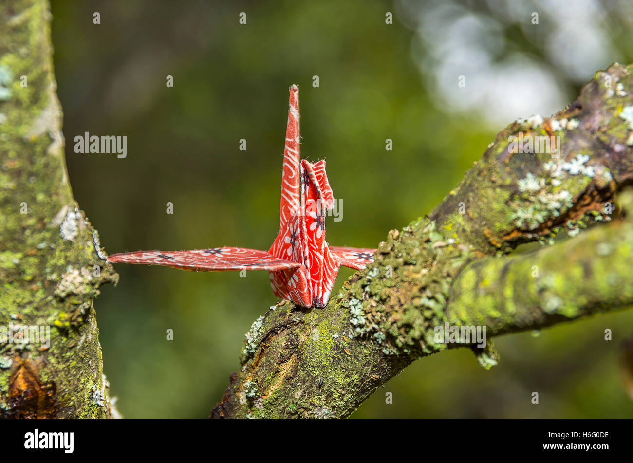 Carta Origami gru Foto Stock