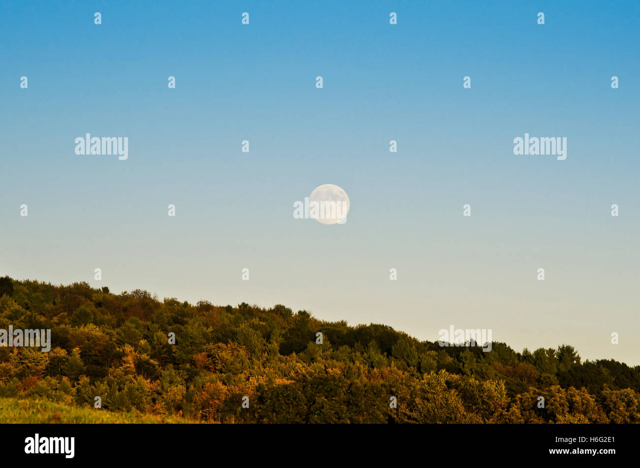 Paesaggio autunnale della luna di raccolta Binghamton, Broome County Southern Tier Region New York, USA. Foto Stock