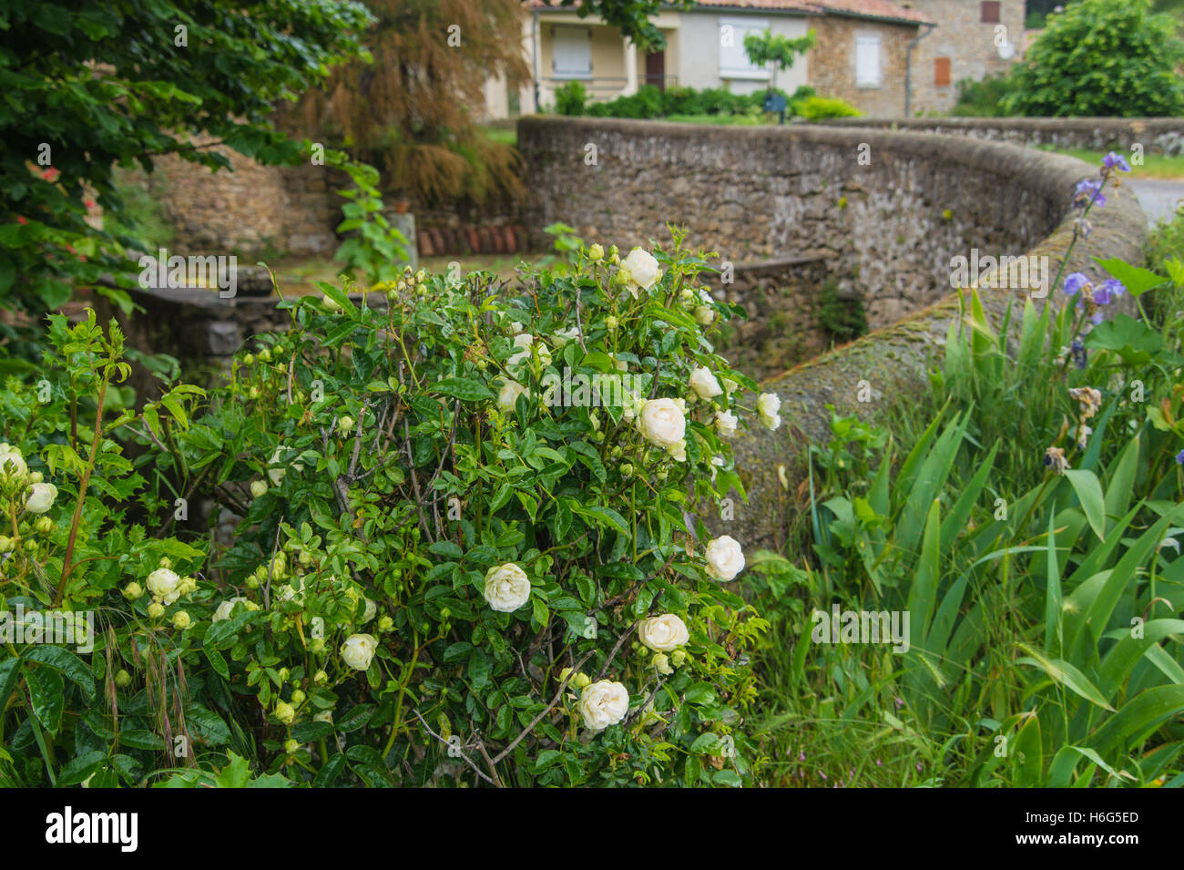 Beaumont,ardeche,Francia Foto Stock
