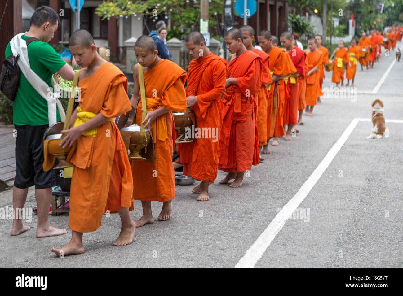 Tak Bat, cerimonia di consegna mattina ALMS, per i monaci buddisti, Luang Prabang, Laos Foto Stock