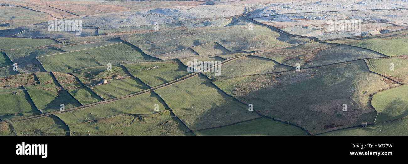 (Cucito) panoramica vista sui campi smerigliato di Wharfedale dalla sede di Simons Wharfedale Yorkshire Dales North Yorkshire Regno Unito Foto Stock