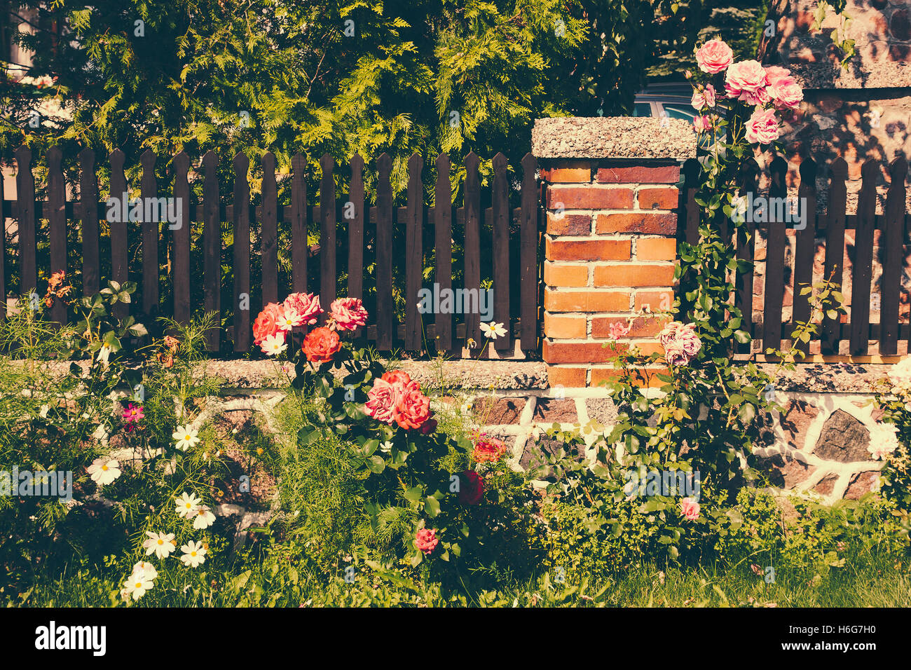 Un idilliaco giardino con un recinto e rose. Foto Stock
