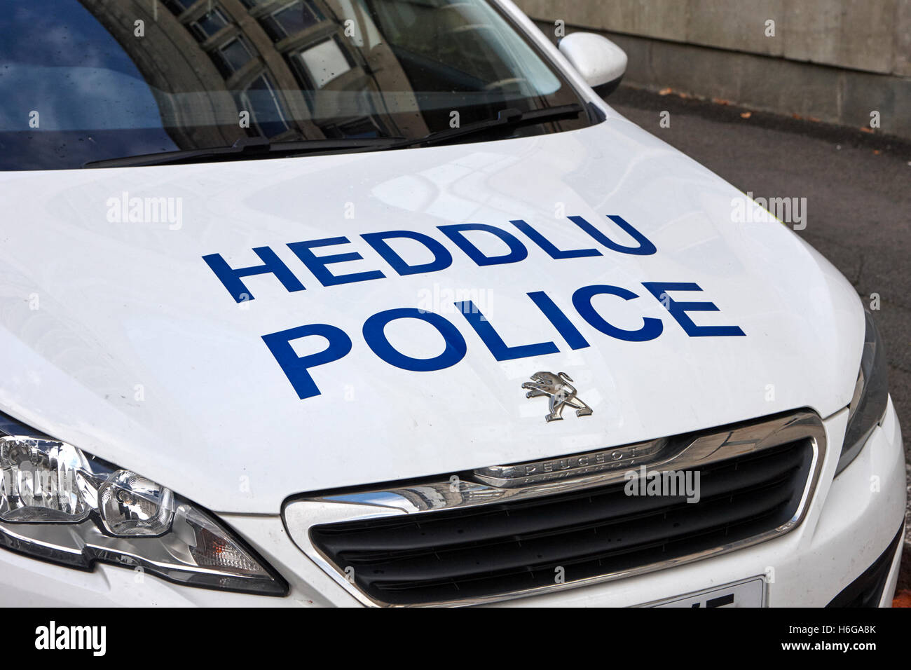 Galles del sud heddlu polizia veicolo bilingue livrea Galles Cardiff Regno Unito Foto Stock