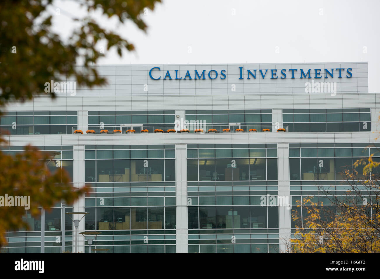 Un logo segno al di fuori della sede di Calamos Asset Management a Naperville, Illinois, il 15 ottobre 2016. Foto Stock