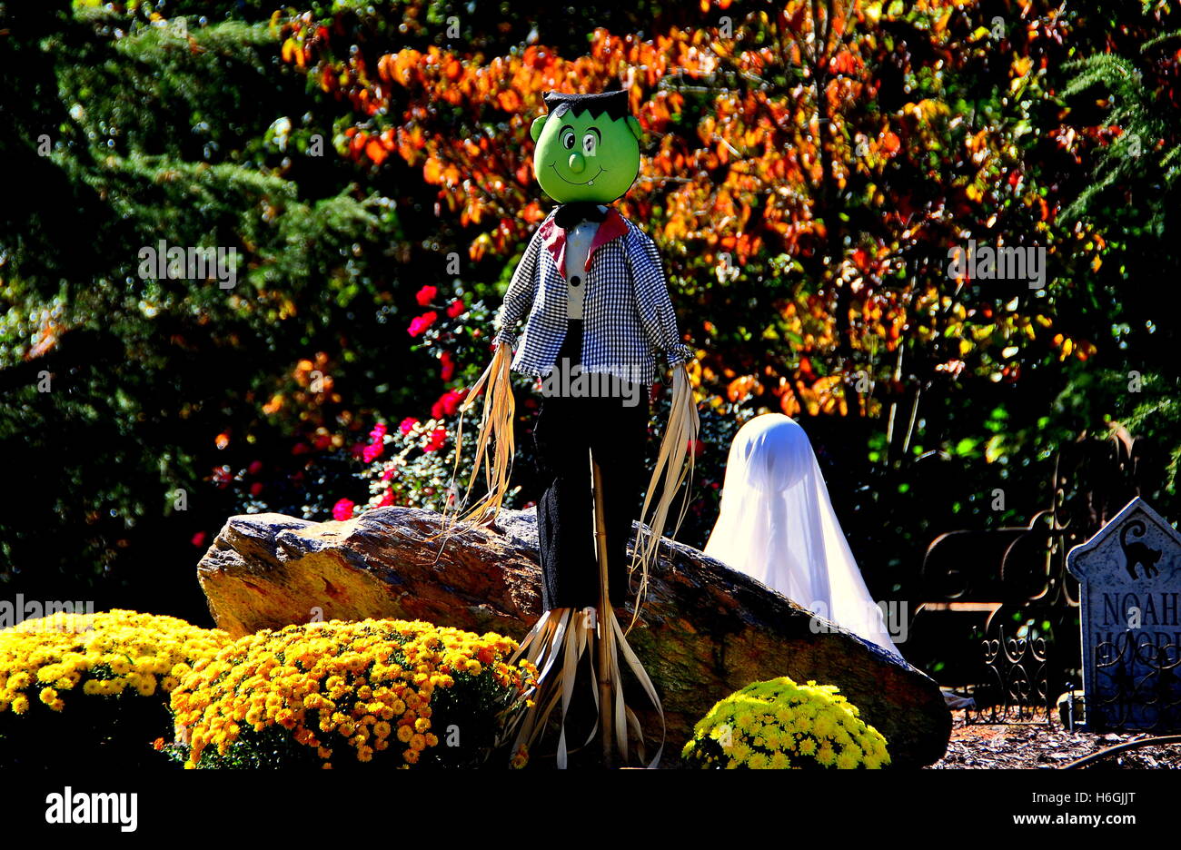 Chapel Hill, North Carolina: decorazioni di Halloween con uno spaventapasseri, fantasma, un oggetto contrassegnato per la rimozione definitiva e circondato da Chrysanthemuns Foto Stock