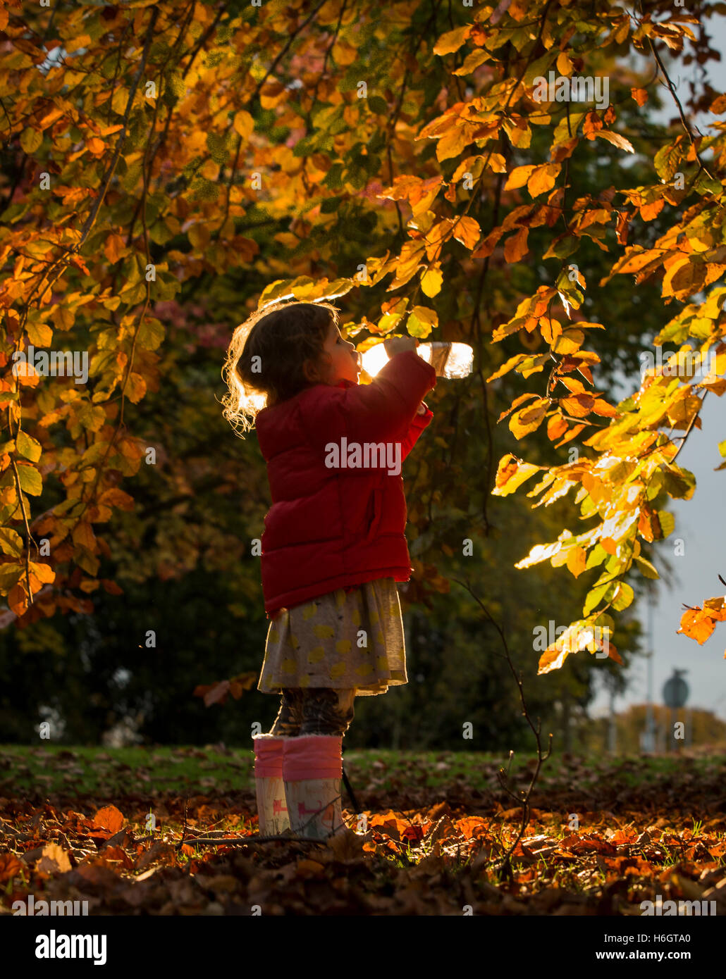 Un bambino beve da una bottiglia accanto a un albero a foglie decidue in una zona boscosa a Wakefield, Yorkshire. Foto Stock