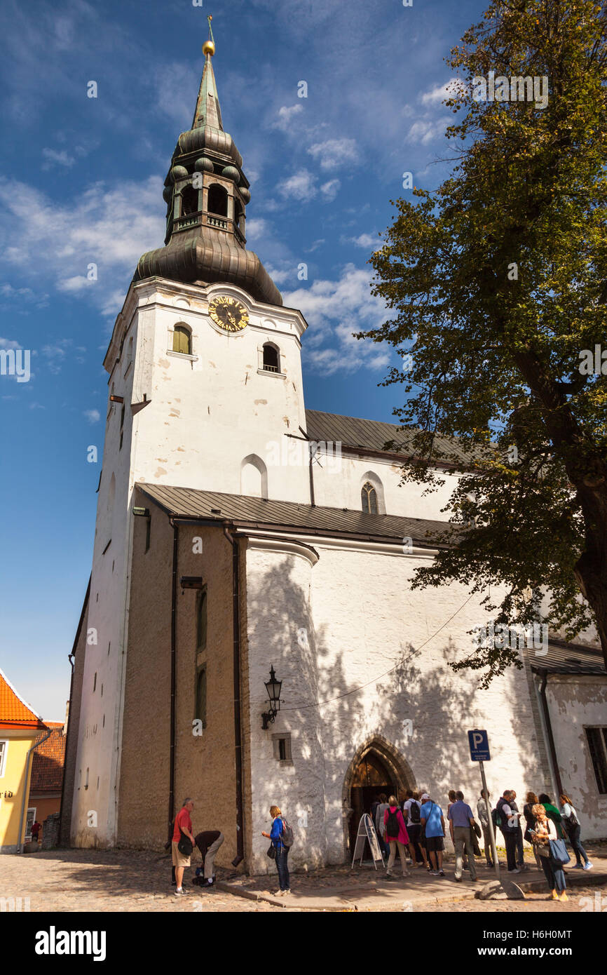 Cattedrale di Santa Maria Vergine, noto anche come Chiesa Dome, la collina di Toompea, Città Vecchia, Tallinn, Estonia Foto Stock