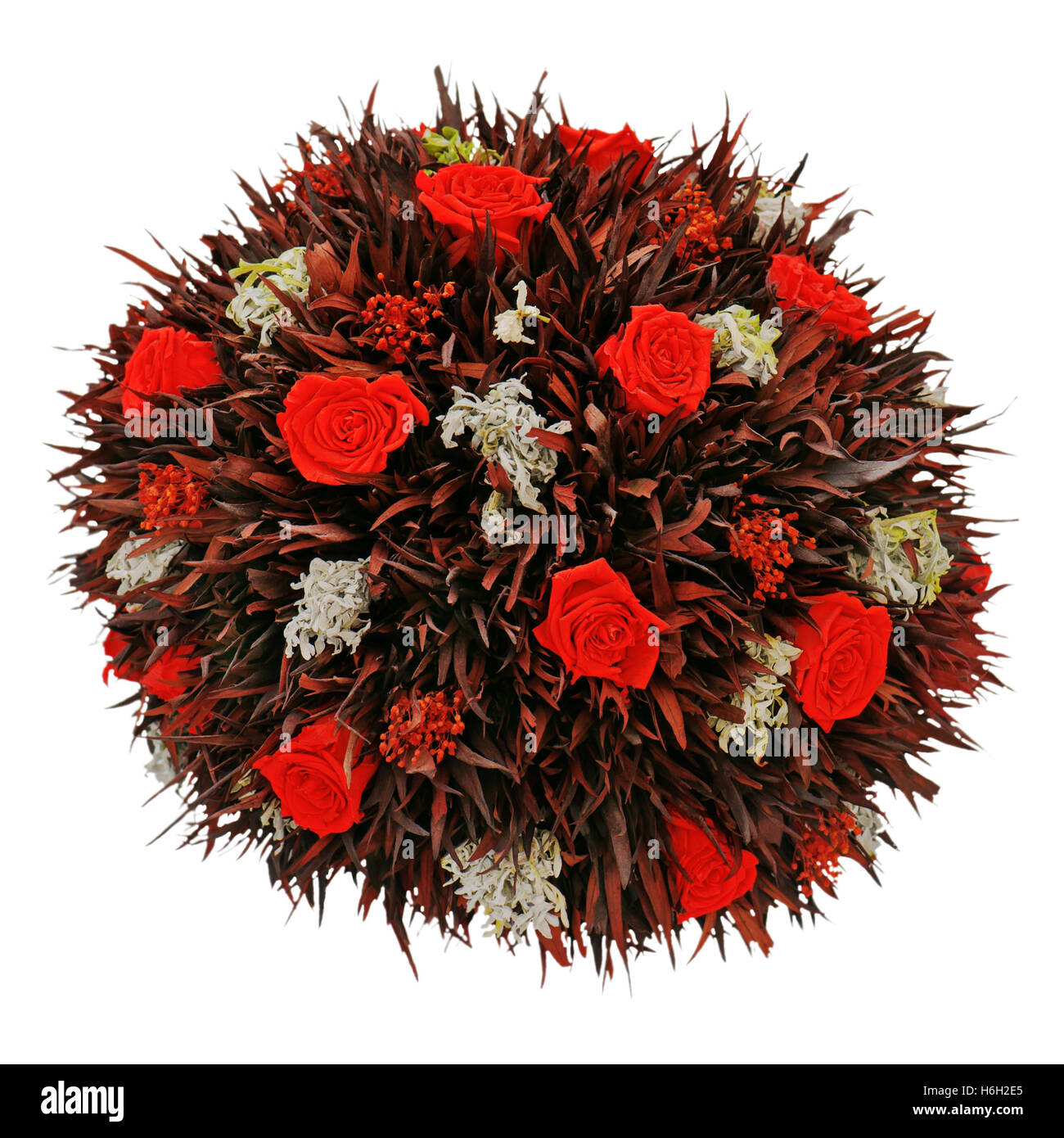 Composizione astratta da rosso secco rose. Primo piano. Foto Stock