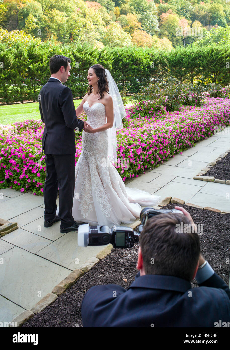 Il fotografo cattura la sposa e lo sposo in giardino; Omni Bedford Springs Resort & Spa; Bedford; Pennsylvania; USA Foto Stock