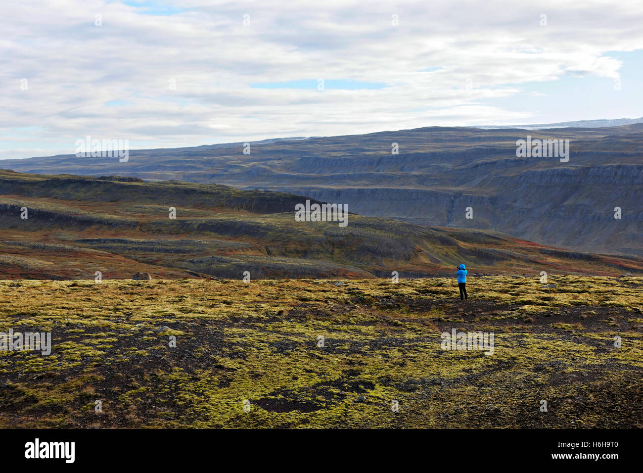 Persona che ha preso la foto del paesaggio vulcanico, Westfjords, Islanda, Atlantico del Nord, Europa Foto Stock