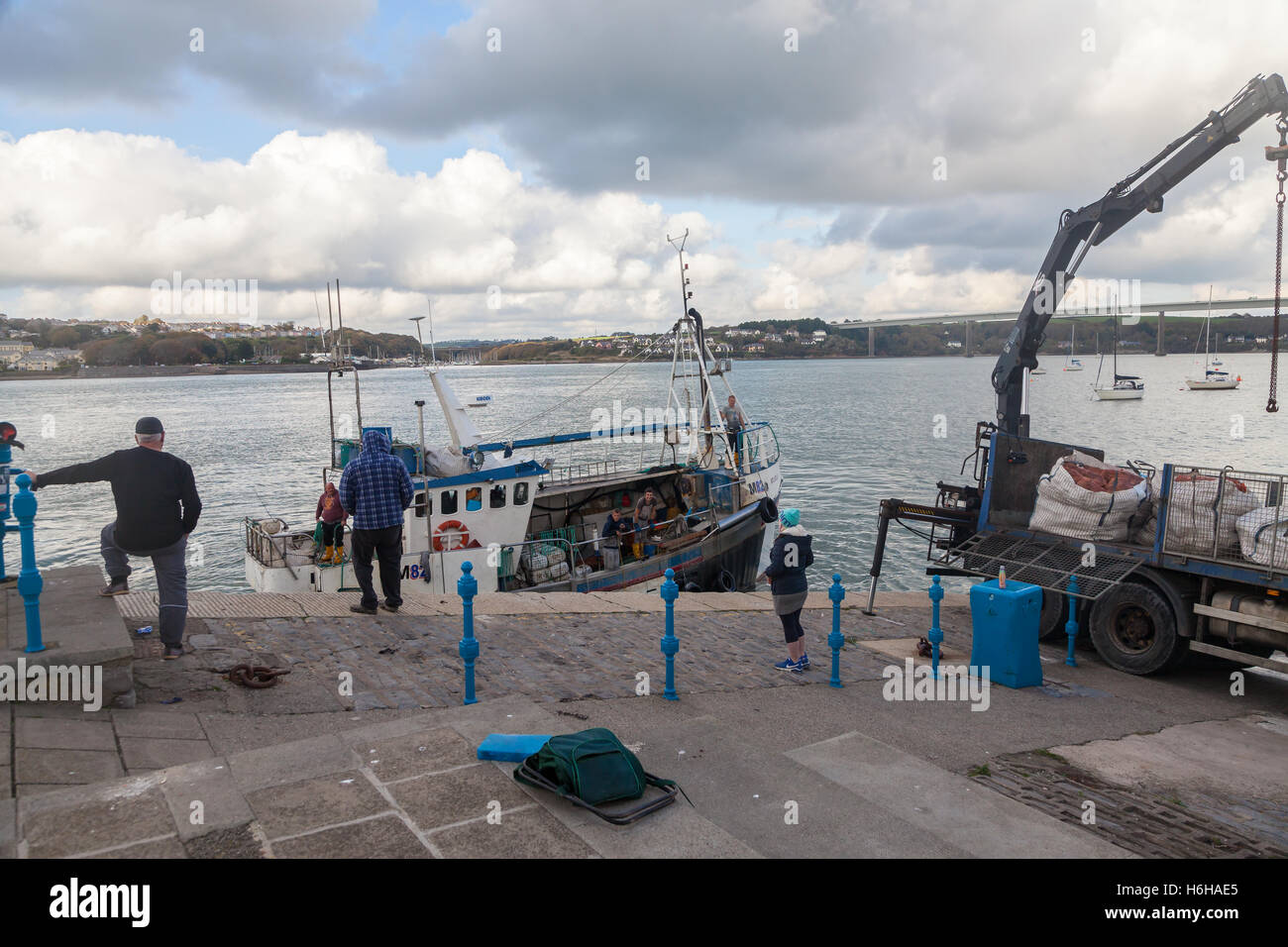 Barca da pesca equipaggio lo sbarco delle catture a Hobbs punto, Pembroke Dock, Wales, Regno Unito Foto Stock