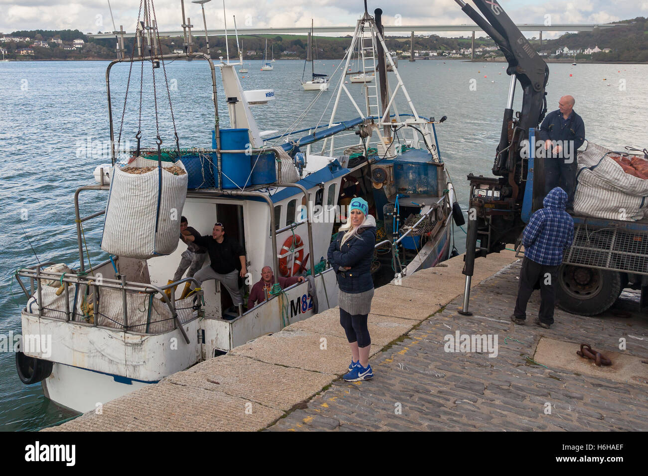 Barca da pesca equipaggio lo sbarco delle catture a Hobbs punto, Pembroke Dock, Wales, Regno Unito Foto Stock