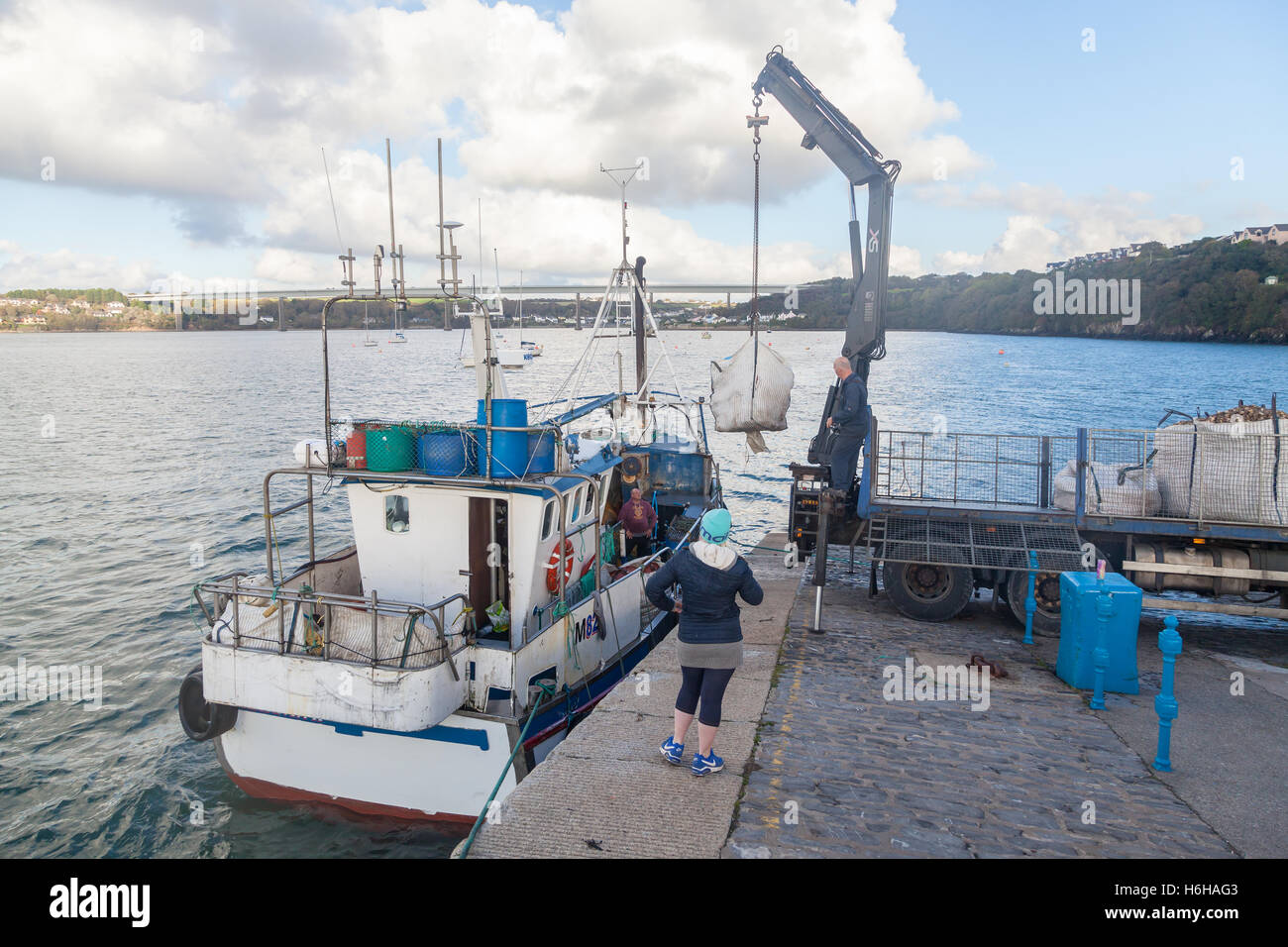 Barca da pesca equipaggio lo sbarco delle catture a Hobbs punto, Pembroke Dock, Wales, Regno Unito Foto Stock