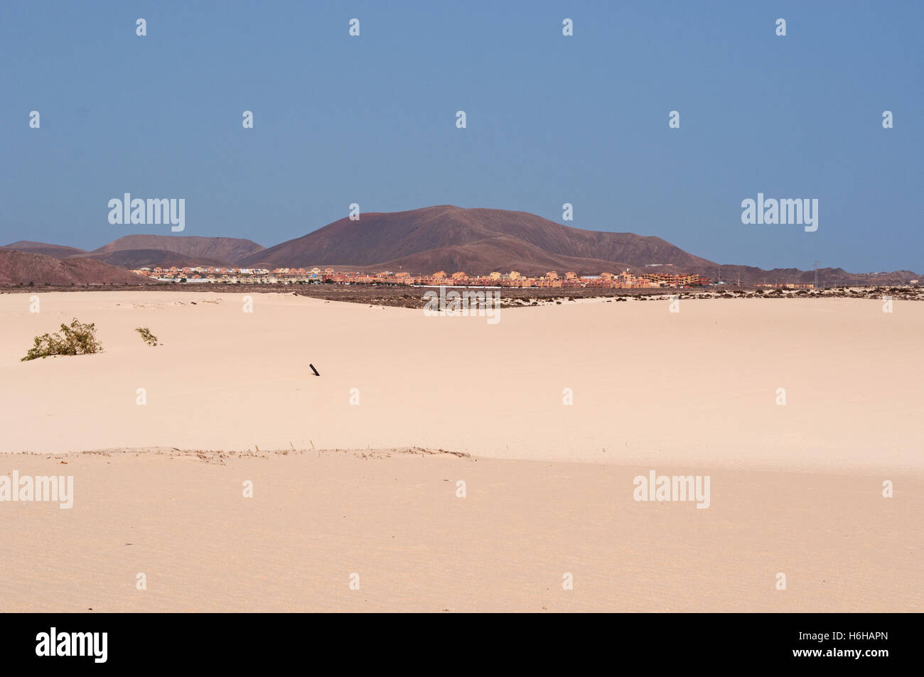 Fuerteventura: sand dunes national park in Corralejo Foto Stock