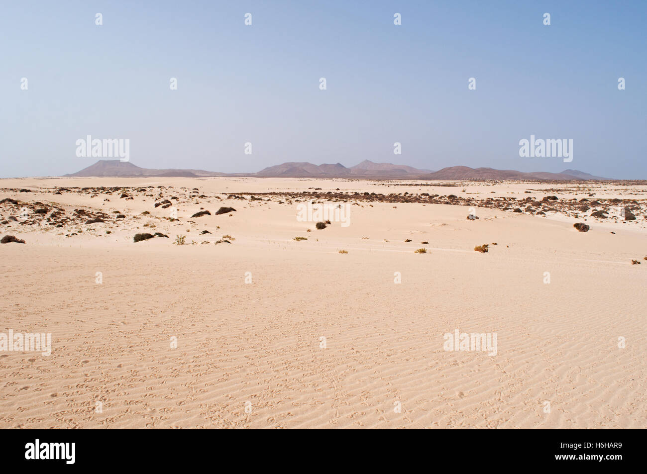 Fuerteventura: sand dunes national park in Corralejo Foto Stock