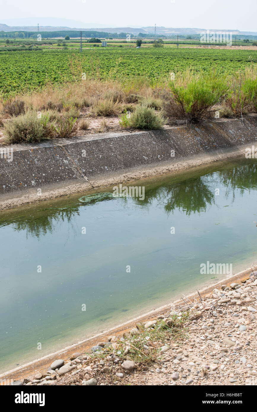 Canale di irrigazione e piante verdi Foto Stock