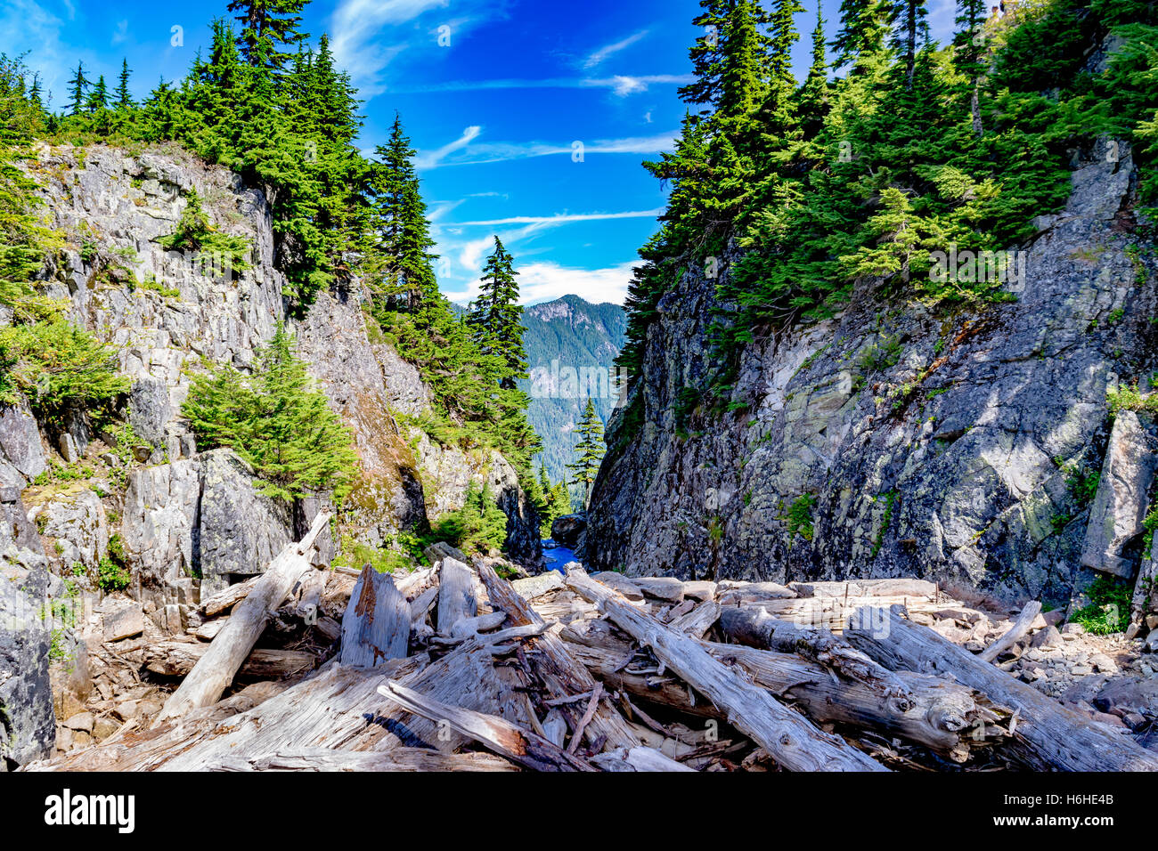 Log Jam sulla neve Lago Trail - Stato di Washington Foto Stock