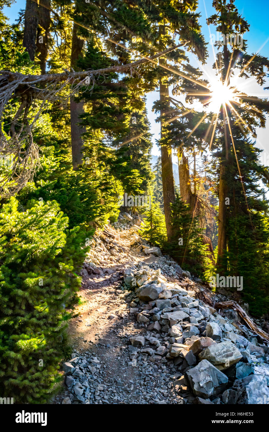 Neve Lago Trail - Stato di Washington Foto Stock