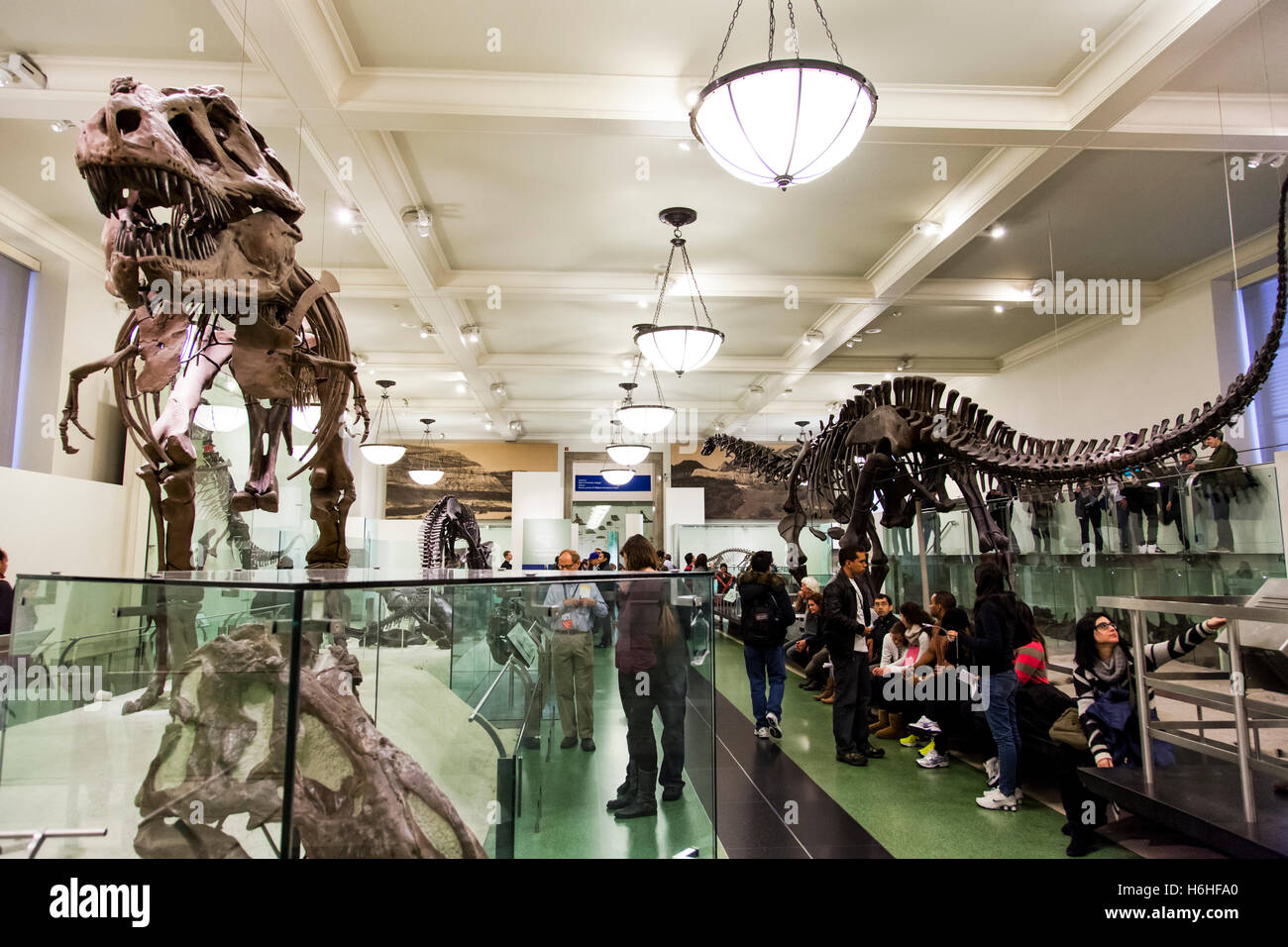 New York, Stati Uniti d'America - NOV 19: il display in origini di vertebrati Hall nel Museo Americano di Storia Naturale il 19 novembre 2012 in Foto Stock