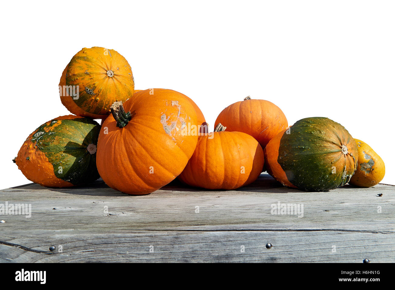 Un assortimento di zucche e schiaccia su rustiche tavole in legno Foto Stock