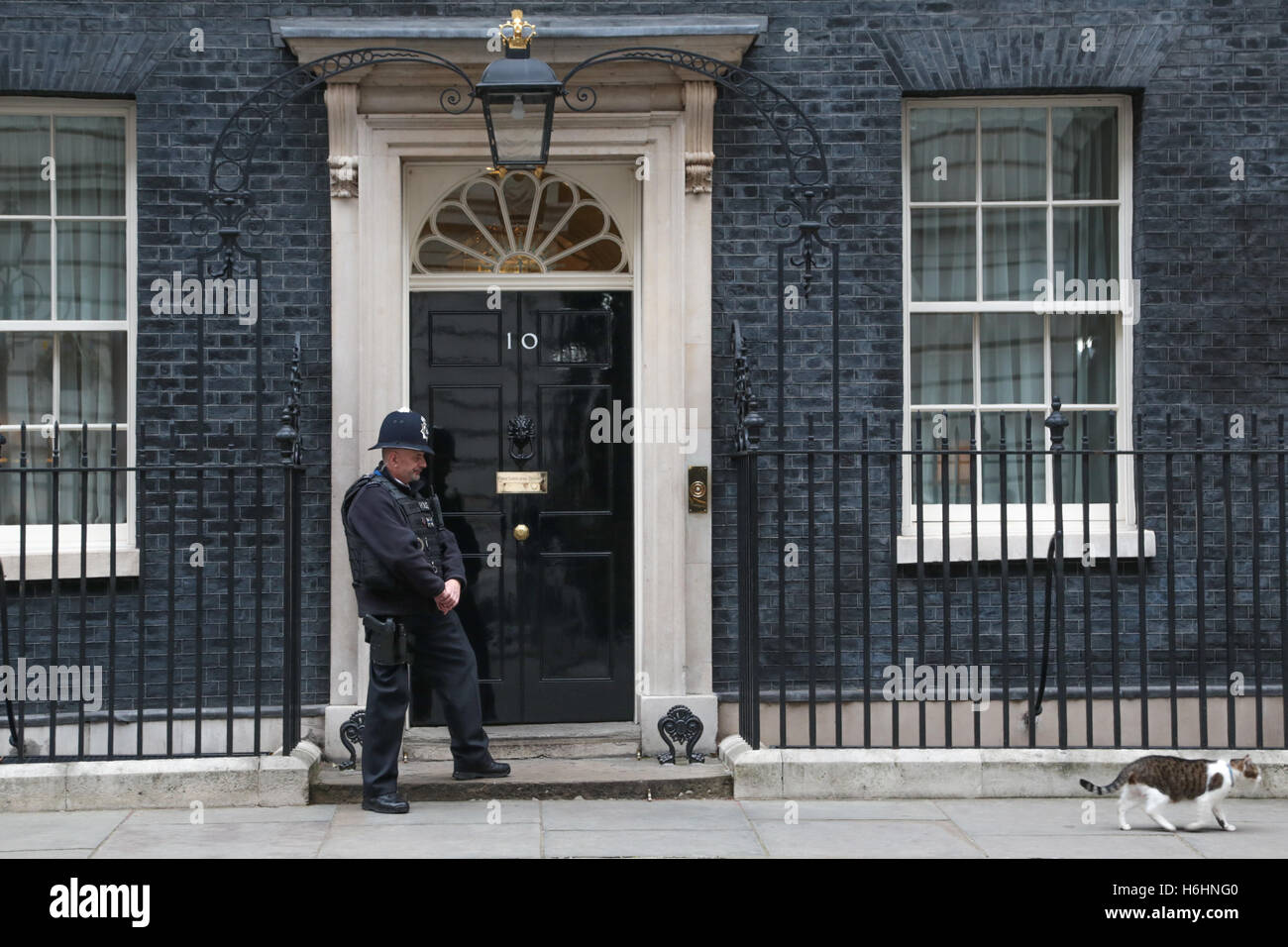 London , Regno Unito 29 ottobre 2016 una polizia uomo guarda su come Larry di Downing Street cat passeggiate passato nummber 10 di Downing street. Foto Stock
