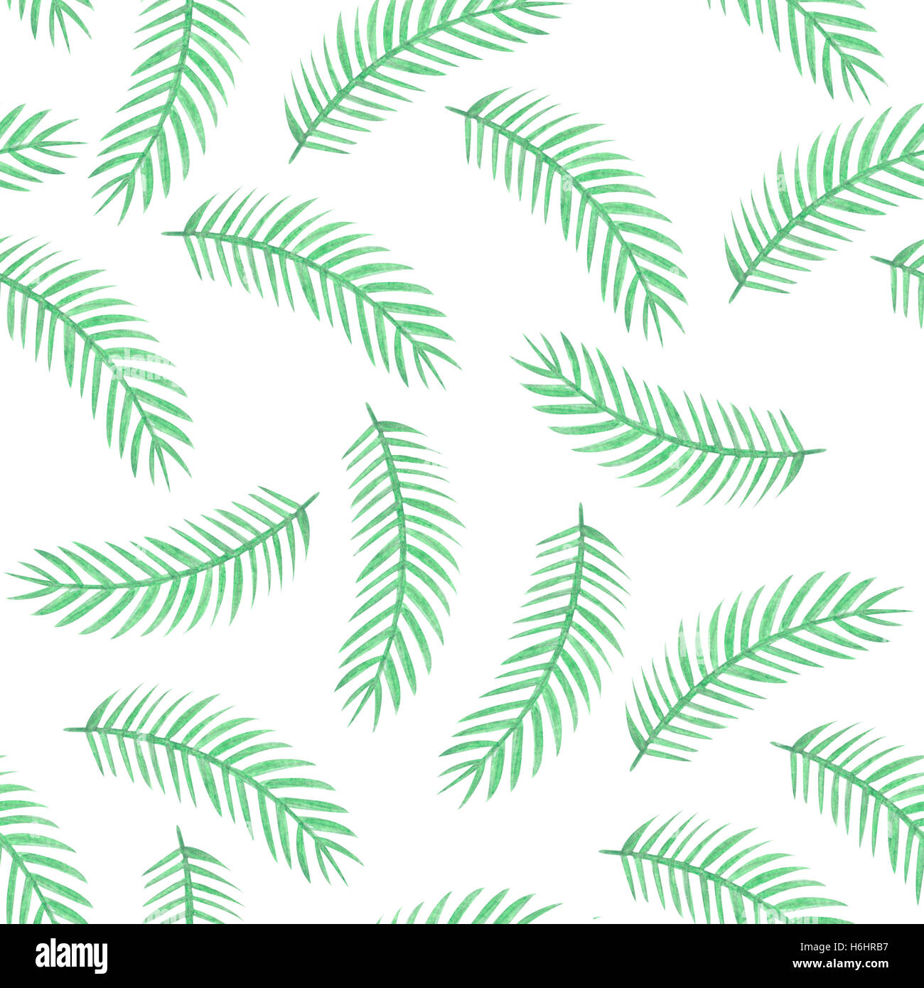 Acquarello tropicale di foglie di palma seamless pattern isolato su bianco. Foto Stock