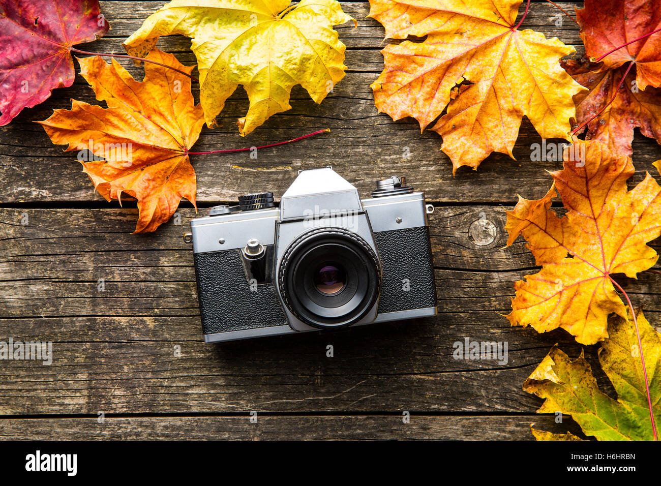 Analogico Vintage foto fotocamera e foglie secche su sfondo di legno. Foto Stock