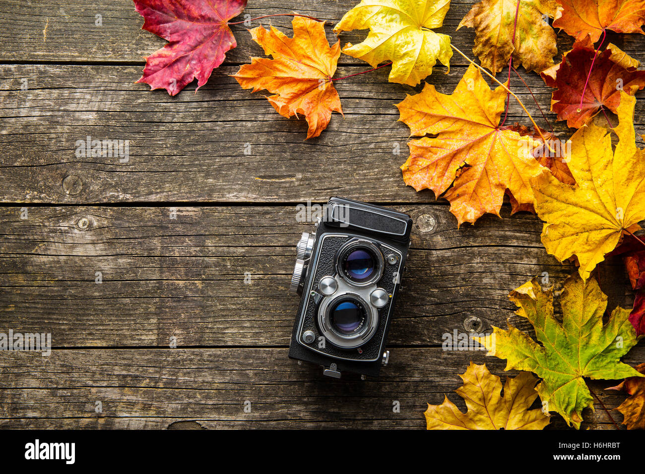 Analogico Vintage foto fotocamera e foglie secche su sfondo di legno. Foto Stock
